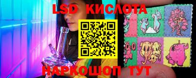 шишки Вышний Волочёк