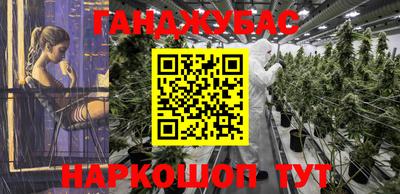 шишки Вышний Волочёк