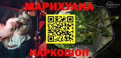 шишки Вышний Волочёк