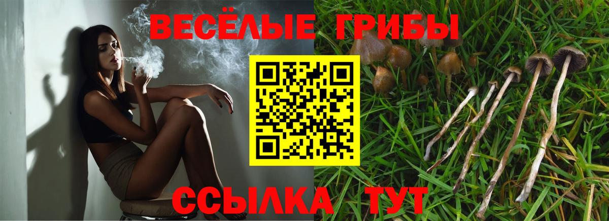Псилоцибиновые грибы GOLDEN TEACHER Южноуральск