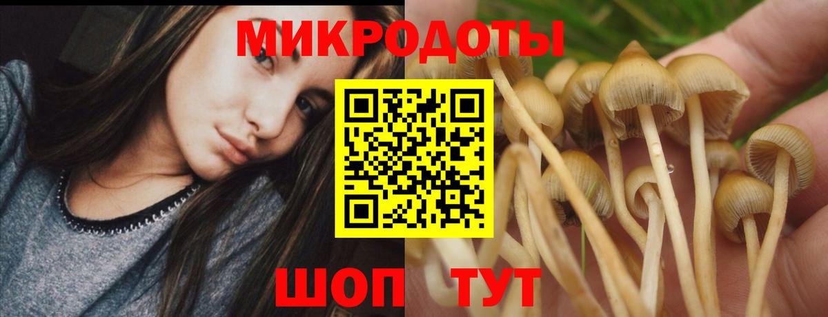 Южноуральск  Псилоцибиновые грибы GOLDEN TEACHER  Вход с VPN  Псилоцибиновые грибы Psilocybe 